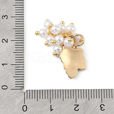 Brass Enamel Pendants KK-H274-03G-1