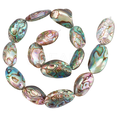 1 Strand Natural Abalone Shell/Paua Shell Beads Strands BSHE-BC0001-16-1