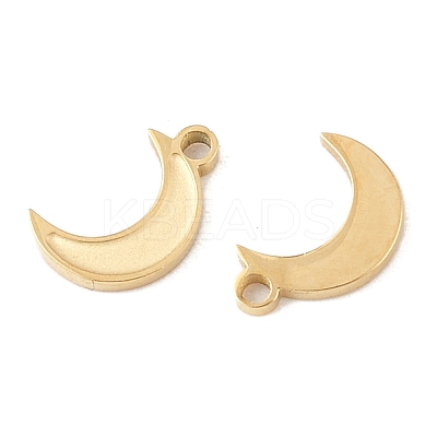 304 Stainless Steel Charms STAS-L022-546G-1
