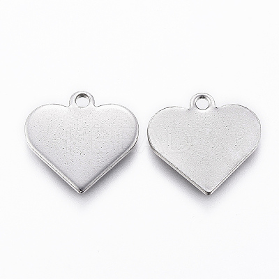 304 Stainless Steel Charms LS-STAS-K154-18P-1