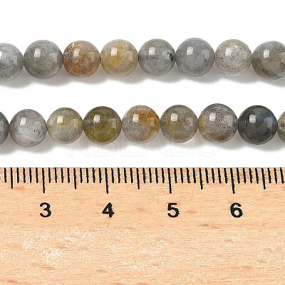 Natural Labradorite Beads Strands G-U017-6mm-01-A-1