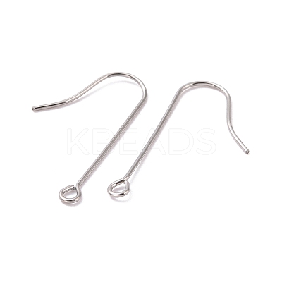 Tarnish Resistant 316 Surgical Stainless Steel Earring Hooks STAS-E027-02B-P-1
