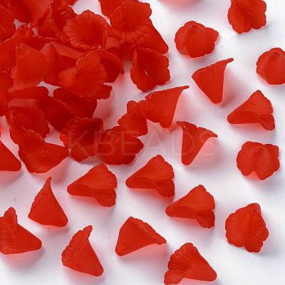 Transparent Acrylic Bead Caps PL551-C12-1