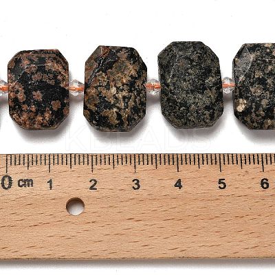 Natural Snowflake Obsidian Beads Strands G-H078-B22-01-1