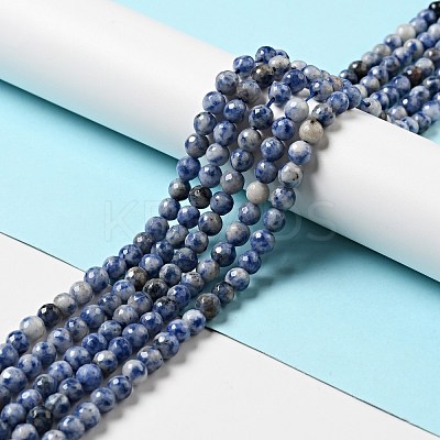 Natural Blue Spot Jasper Beads Strands G-P476-01B-02-1