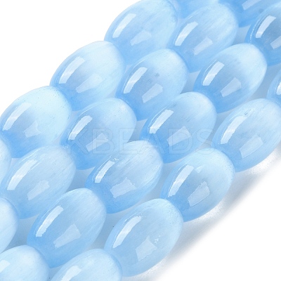 Macaron Color Natural Selenite Beads Strands G-B102-A01-07-1
