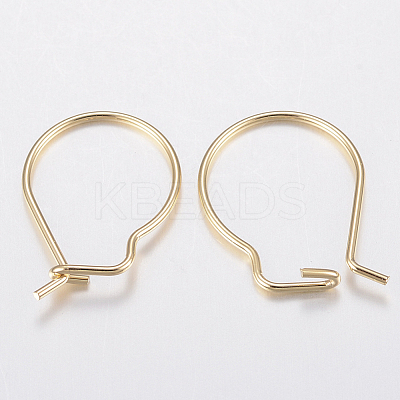 304 Stainless Steel Hoop Earrings Findings STAS-H436-02-1
