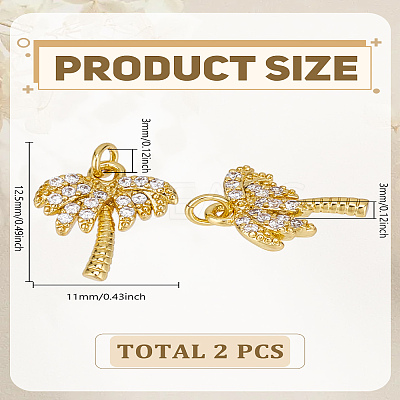 2Pcs Brass Micro Pave Grade AAA Cubic Zirconia Charms ZIRC-LP0001-34-1