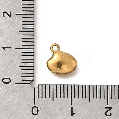 304 Stainless Steel Charms STAS-Z160-10G-03-1
