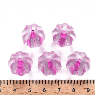 Transparent Acrylic Beads TACR-S154-19A-82-1