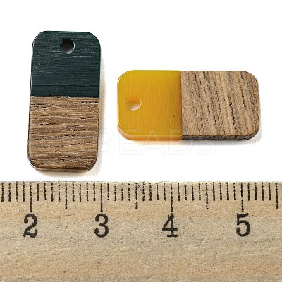 Resin & Walnut Wood Pendants RESI-XCP0002-16I-1