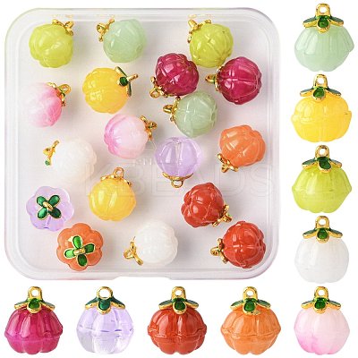 24Pcs 9 Colors Glass Charms GLAA-FS0002-42-1