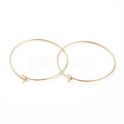 316 Surgical Stainless Steel Hoop Earring Findings X-STAS-J025-01E-G-1