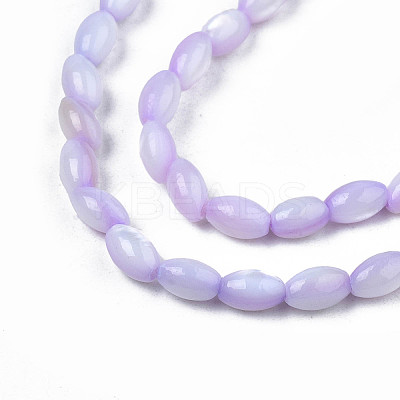 Natural Freshwater Shell Beads Strands X-SHEL-N003-25-B04-1