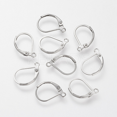 Tarnish Resistant 304 Stainless Steel Leverback Earring Findings LS-STAS-S066-13-1