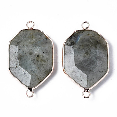 Natural Labradorite Links Connectors G-S359-280B-1