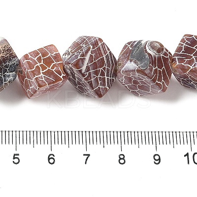 Natural Weathered Agate Beads Strands G-Q169-C04-02A-1