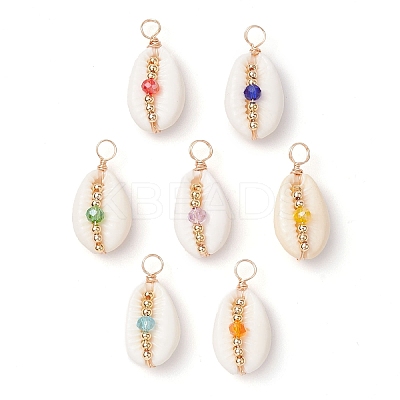 Natural Cowrie Shell Pendants PALLOY-JF02662-02-1