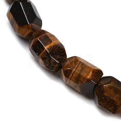 Natural Tiger Eye Beads Strands G-F796-C09-01-1