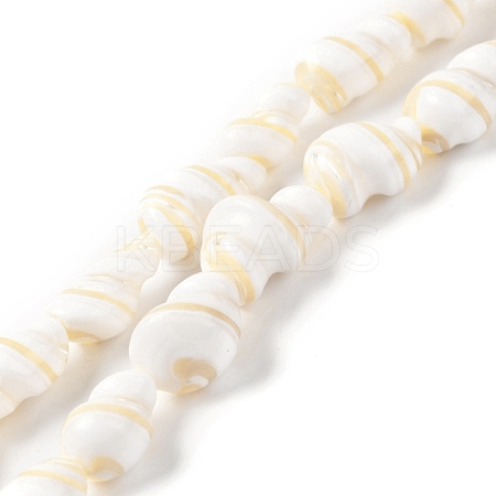 Natural Shell Beads Strands BSHE-D020-01-1