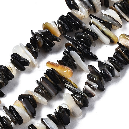 Natural Black Lip Shell Beads Strands SSHEL-S266-010-1