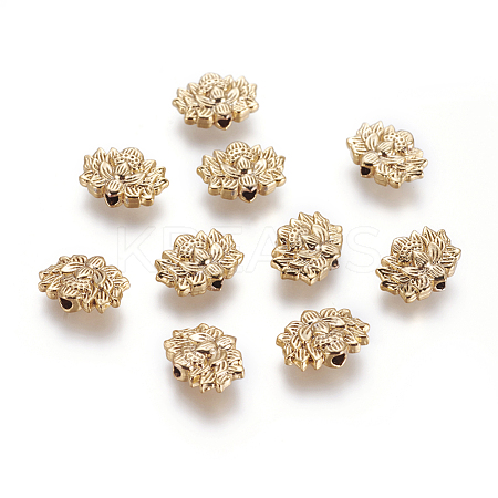 Alloy Beads KK-G365-03G-1