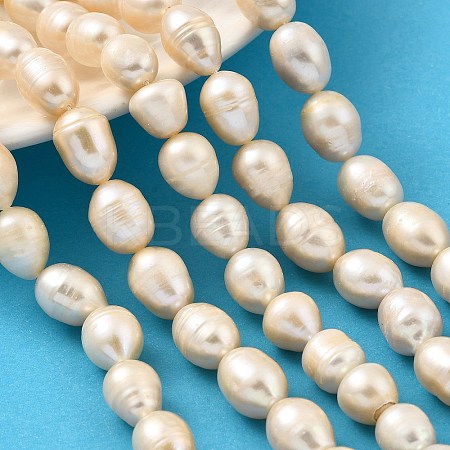 Natural Cultured Freshwater Pearl Beads Strands PEAR-I007-01H-02B-1
