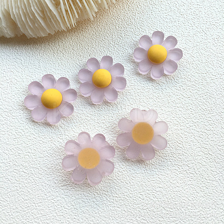 Resin Frosted Cabochons RESI-TAC0001-04E-1