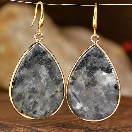 Natural Larvikite Teardrop Dangle Earrings FS-WG5CAE0-11-1