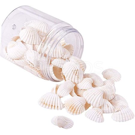 Shell Beads BSHE-PH0003-15-1