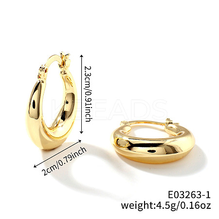 Trendy Geometric Brass Hoop Earrings QP8265-5-1