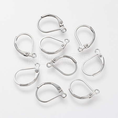 Tarnish Resistant 304 Stainless Steel Leverback Earring Findings LS-STAS-S066-13-1