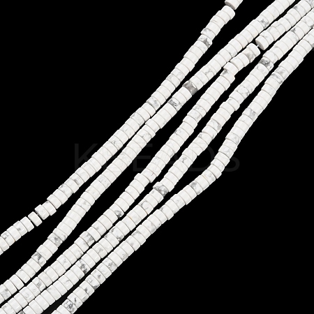 Synthetic Howlite Beads Strands G-M401-D03-1