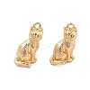 Brass Pendants X-KK-L223-022G-1