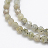 Natural Labradorite Beads Strands G-P322-28-4mm-3