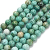 Natural Peruvian Turquoise(Jasper) Beads Strands G-L642-B08-6mm-2