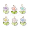Transparent Acrylic Pendants PALLOY-JF03713-02-1