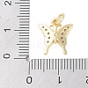 Rack Plating Brass Micro Pave Clear Cubic Zirconia Charms KK-Z060-05G-01-3