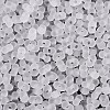FGB Frosted Transparent Glass Seed Beads SEED-N013-06A-01-3