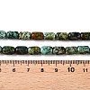 Natural African Turquoise(Jasper) Beads Strands G-G980-33A-5