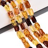Natural Amber Beads Strands G-N371-23A-01-1