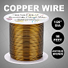 Round Copper Wire CWIR-BC0006-02C-AB-5