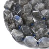 Natural Labradorite Beads Strands G-C270-F01-4