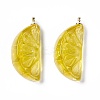 Transparent Resin Pendants RESI-P020-01P-4