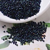 MIYUKI Delica Beads SEED-MY11-DB0002-1