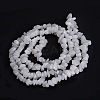Natural White Jade Beads Strands X-G-F703-02-4