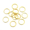 Iron Split Key Rings IFIN-Q067-G-2