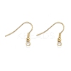 304 Stainless Steel Earring Hooks X-STAS-D448-036G-2