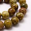 Round Natural Dragon Blood Jasper Beads Strands G-K072-8mm-3