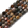 Natural Picasso Jasper Beads Strands G-Z119-A25-01-3